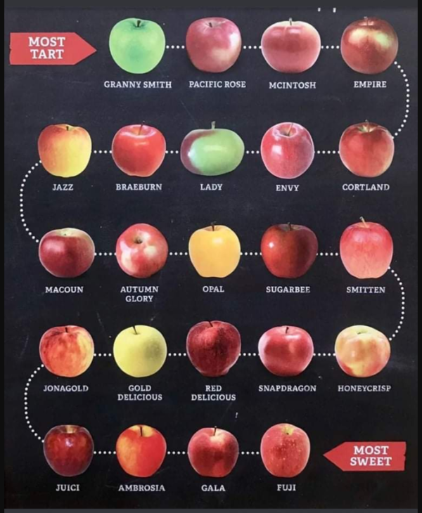 アメリカ　リンゴの種類