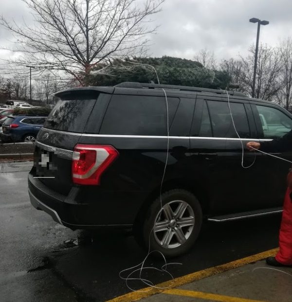 車にクリスマスツリーを