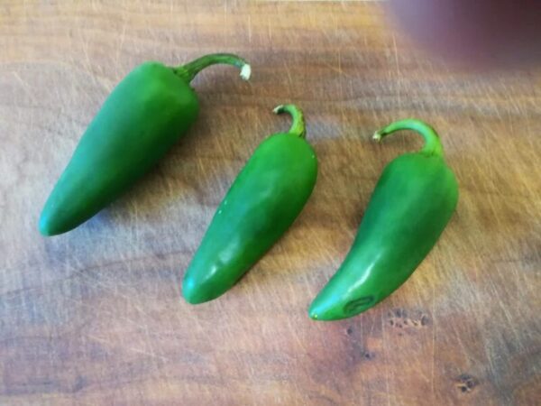 ハラペーニョポッパーのベーコン巻きレシピ